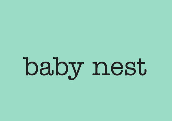 BABY NEST & LITTLE NEST logo